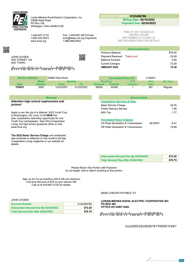 download USA Ohio Lorain Medina Rural Electric utility bill template in Word and PDF format PDF template